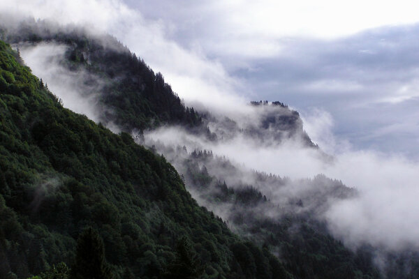 Nebel im Ammergebirge (© Boris Mittermeier)