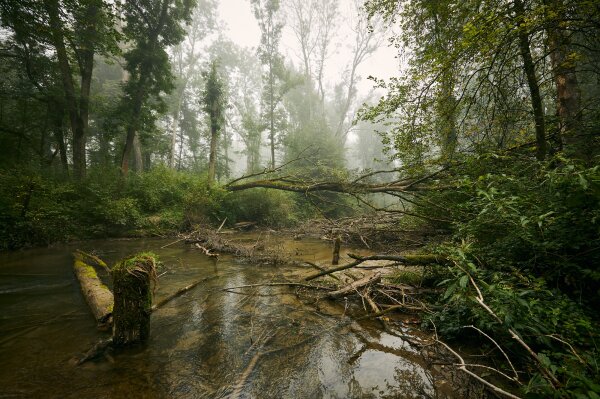 Untere Iller (© Robert Pehlke)