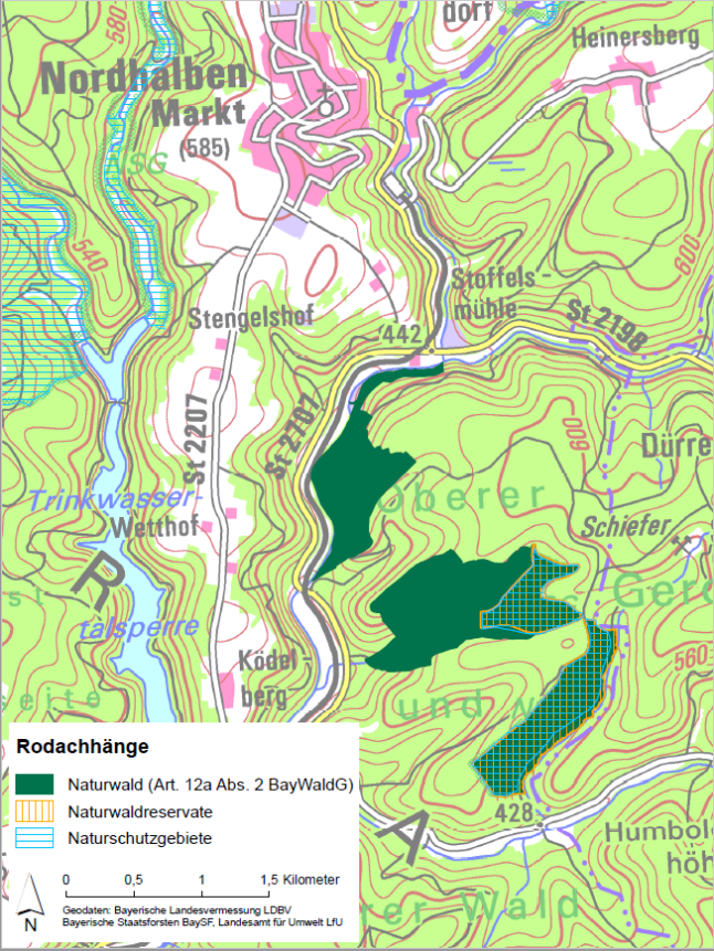 Übersichtskarte des Artenschutzgebiets "Rodachhänge" bei der die Ausweisungen als Naturwaldfläche nach Art. 12 a BayWaldG mit dunkelgrüner Farbe eingezeichnet sind. Naturschutzgebiete sind blau und Naturwaldreservate orange schraffiert. (Geobasisdaten: Bayerische Staatsforsten BaySF, Bayerische Landesvermessung LDBV, Landesamt für Umweld LfU)