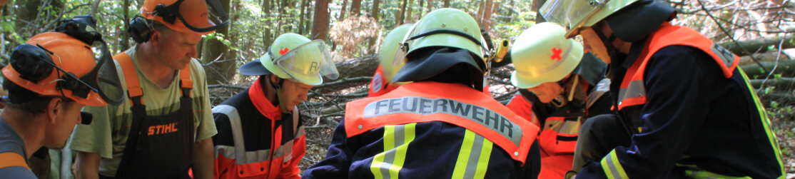 Rettungssanitäter bergen verletzten Waldarbeiter im Laubwaldbestand