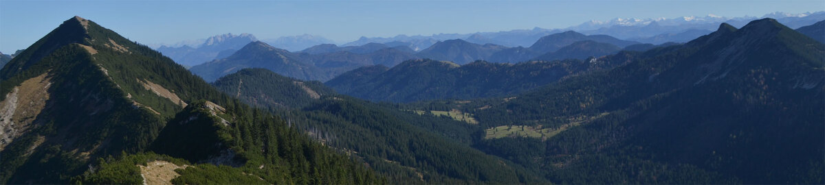 Ausblick über den Bergwald