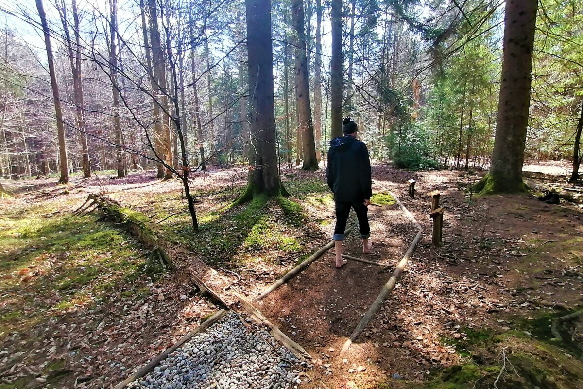 Eine Person mit nackten Füßen läuft über einen Barfußpfad im Wald