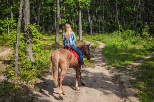 Eine Frau reitet auf einem braunen Pferd durch den Wald