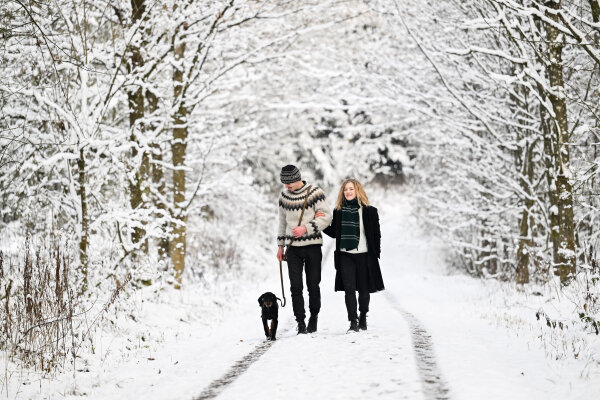 Spaziergängerin und Spaziergänger mit Hund im tiefverschneiten Wald