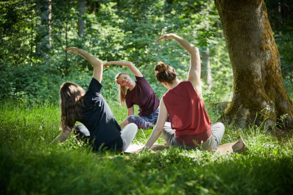 Yoga im Wald