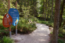 Schilder und Sonnenliegen an einem Waldweg (© Gemeinde Neureichenau)