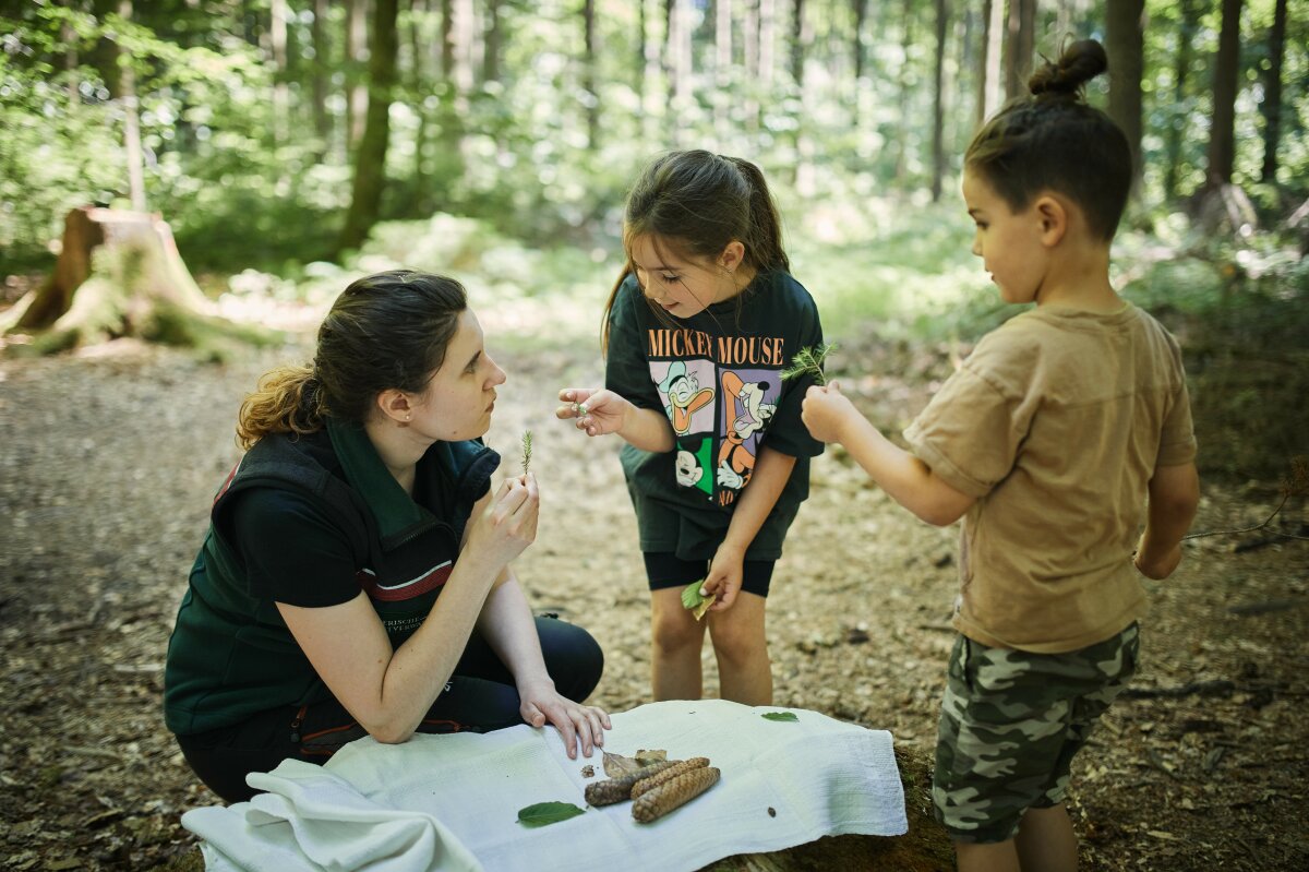 Försterin spielt mit Kindern im Wald das Waldmemory