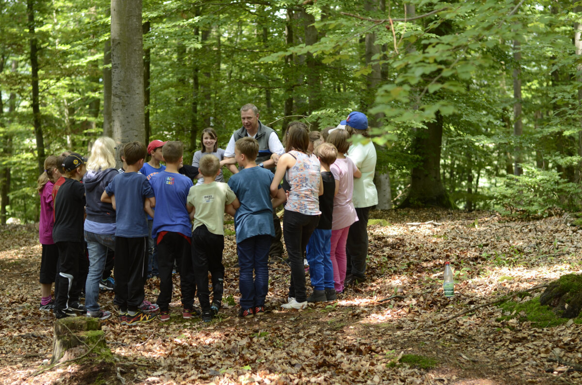 Förster und Schulklasse halten sich an den Armen verschränkt und stehen so im Kreis im Wald