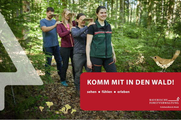 Titelblatt der Broschüre "Komm mit in den Wald!"