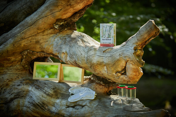Waldpädagogische Materialien wie Becherlupen, Spiegel und Augenbinden liegen auf einem Baumstamm