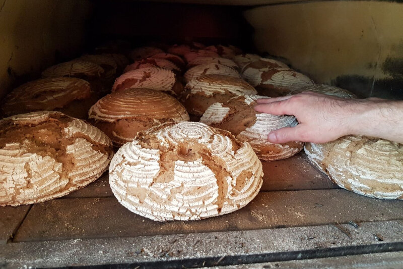Brote im Holzofen mit Hand