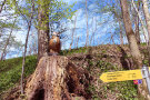 Gelbes Wanderschild und Uhuskulptur im Wald
