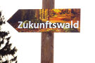 Schild in Pfeilform mit Aufschrift "Zukunftswald"