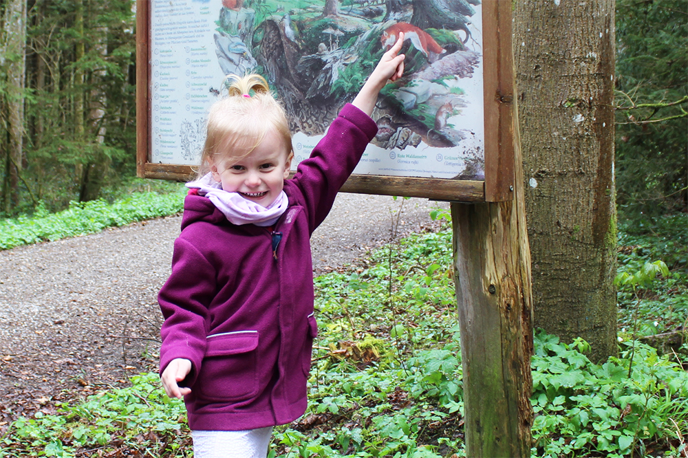 Kleines Mädchen an Schautafel im Wald.