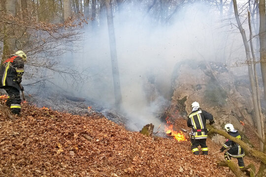Feuerwehrleute löschen Waldbrand