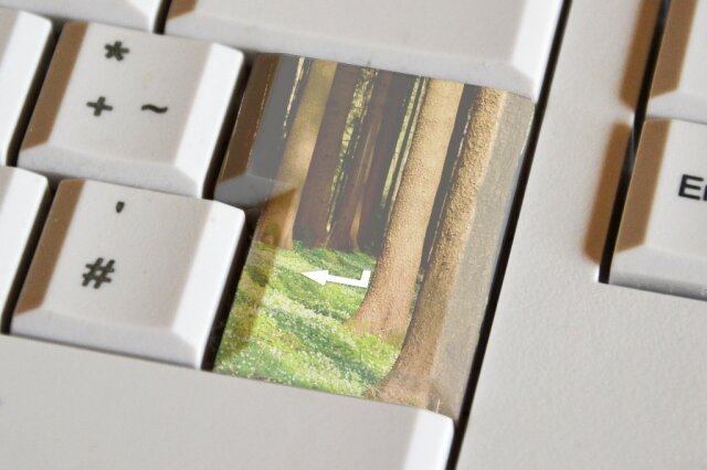 Tastatur mit Waldbild auf der Entertaste