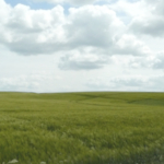 Link zum Onlineprogramm:  Agrarwetter in Kooperation mit dem Deutschen Wetterdienst (DWD)